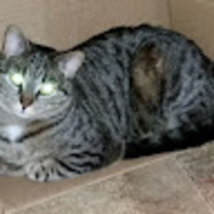 Meet your Posher, Lisa